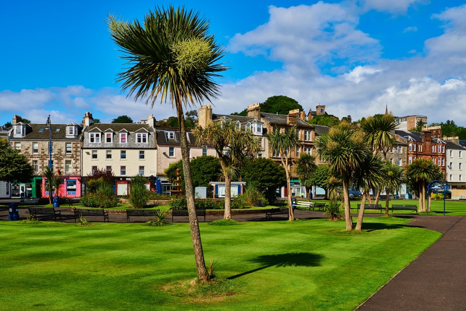 Rothesay Esplanade park with palm trees and buildings.