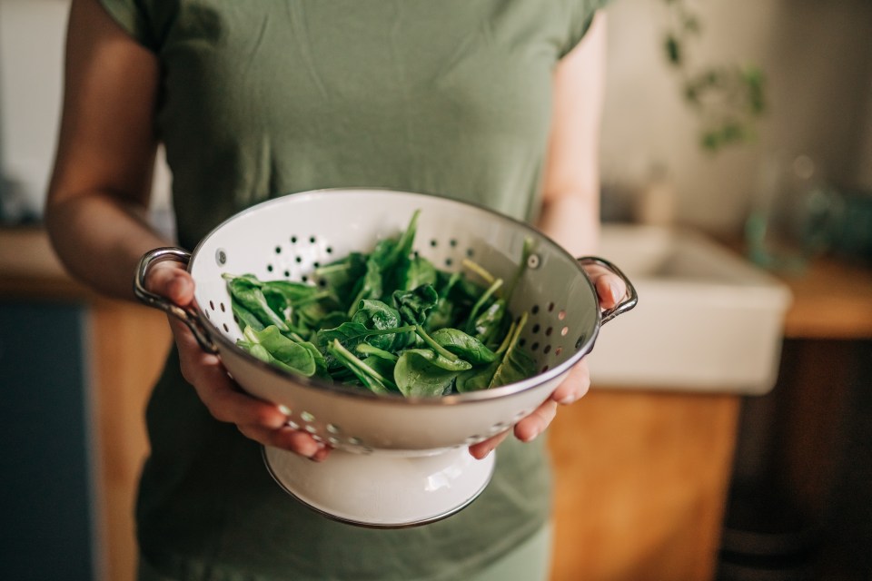 Person holding a colander of spinach.