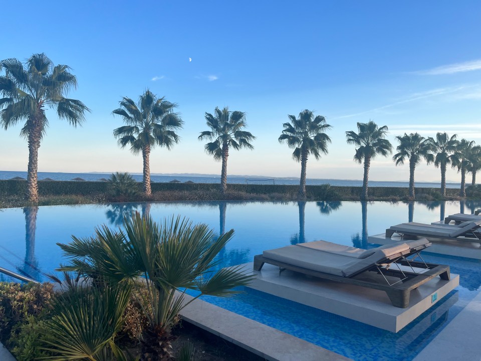 Halkidiki pool with palm trees and lounge chairs.