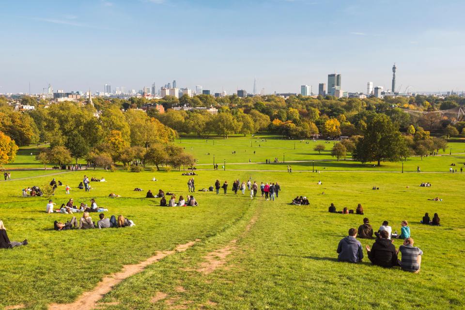 London skyline viewed from a park with people relaxing on the grass.