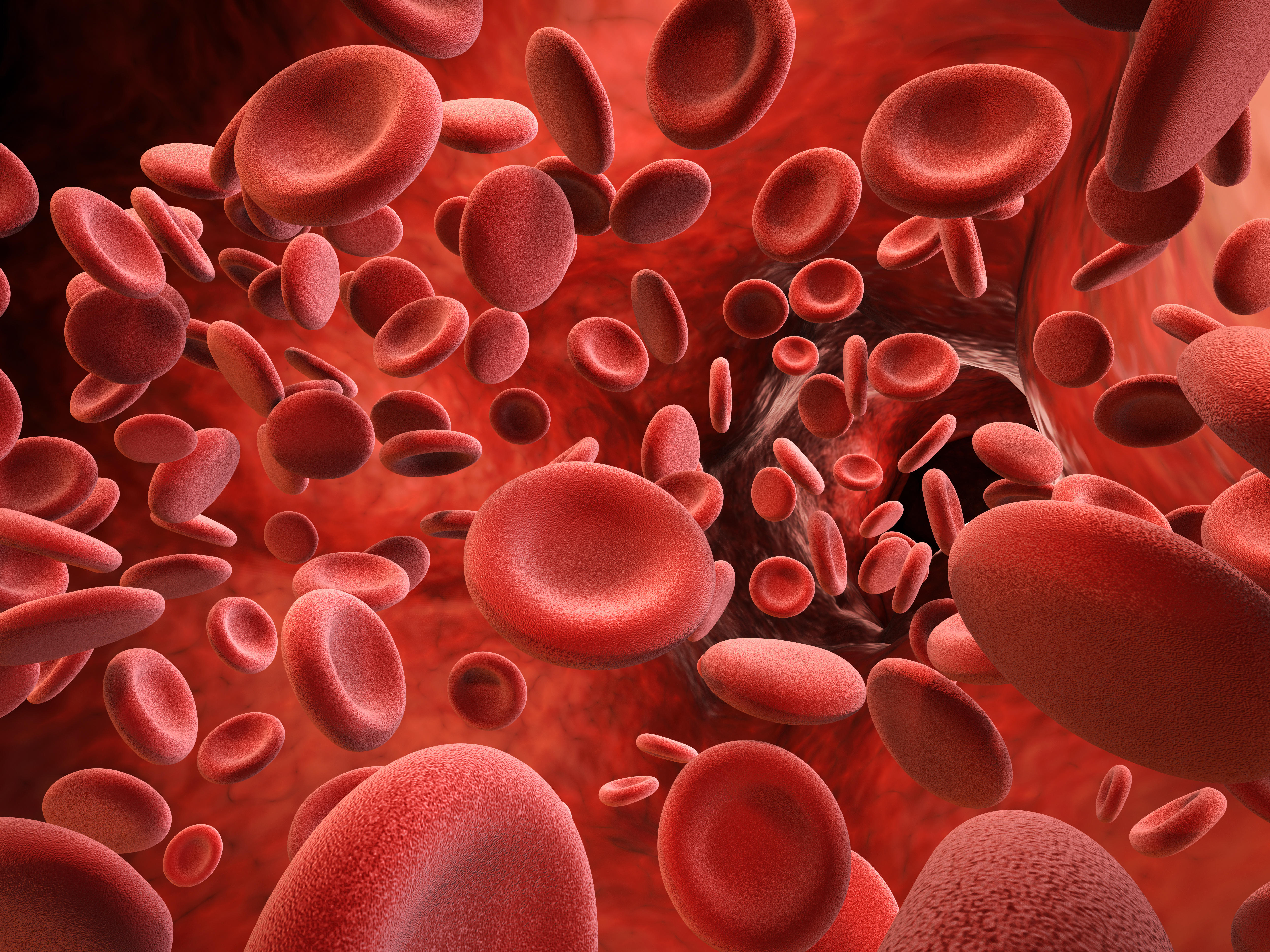 HPMBKW 3d rendering red blood cells in vein