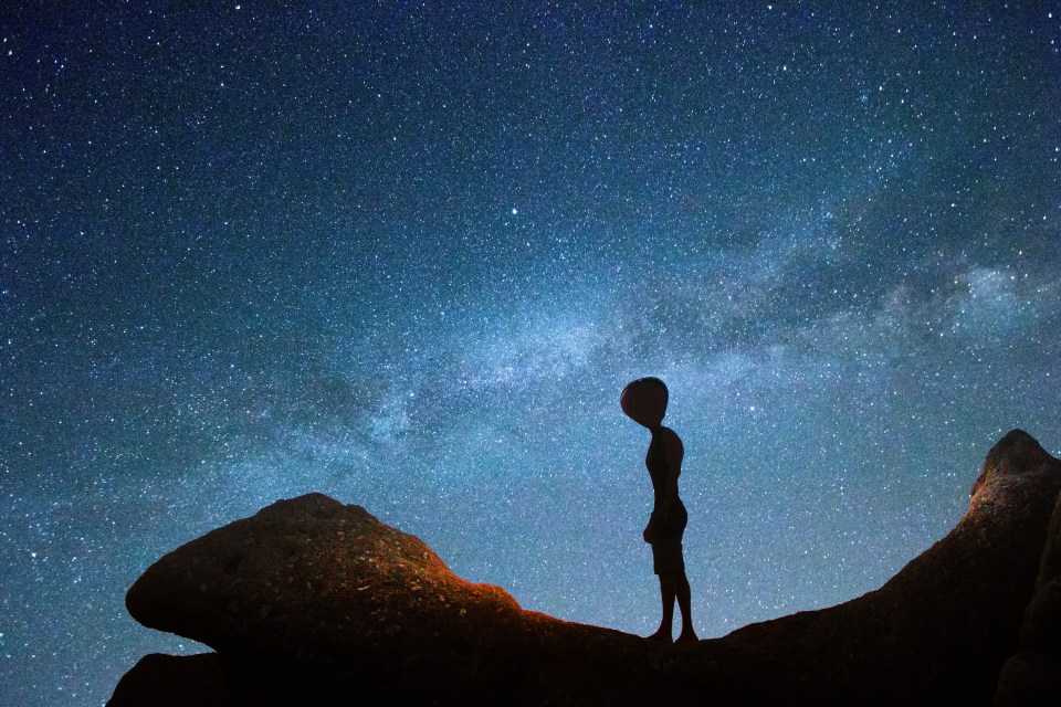 Illustration of an alien silhouetted against the Milky Way at night.