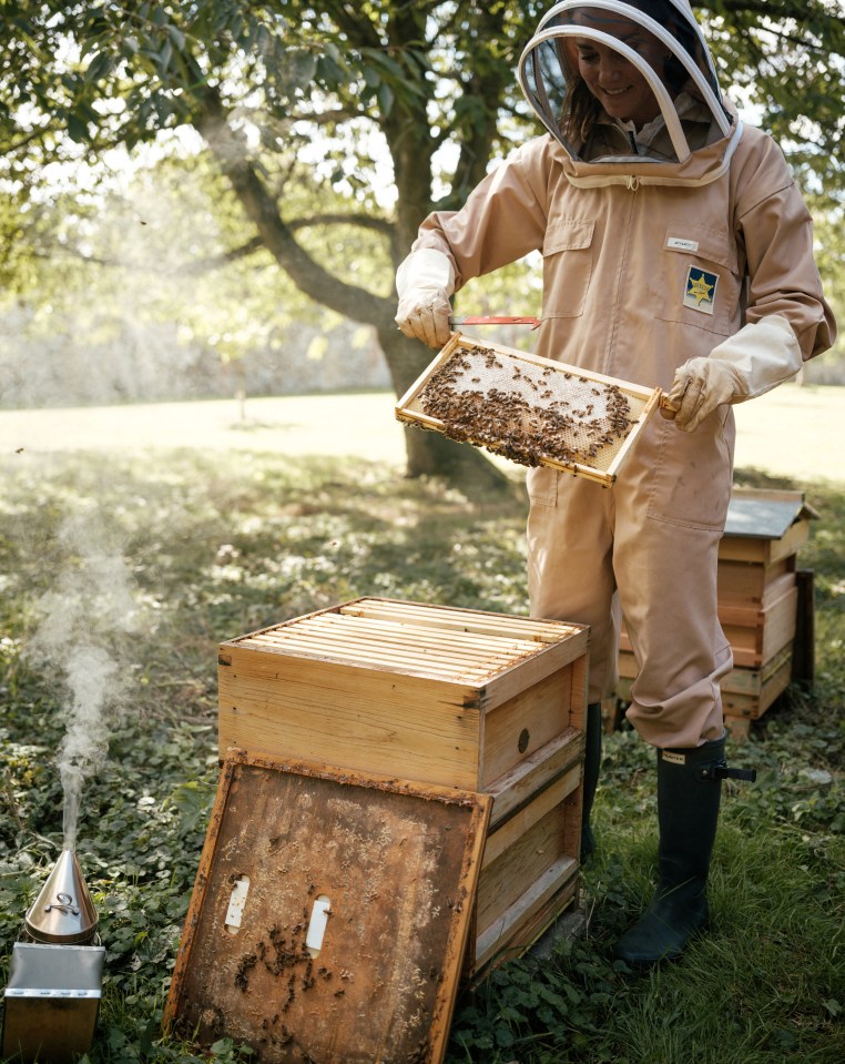 Britain’s Catherine, Princess of Wales, tends to a beehive at Anmer Hall in Norfolk