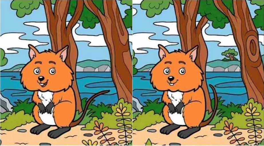 Can you spot the 10 differences in this picture?