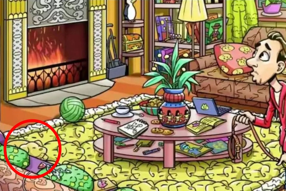 Illustration of a cluttered living room with a hidden object.