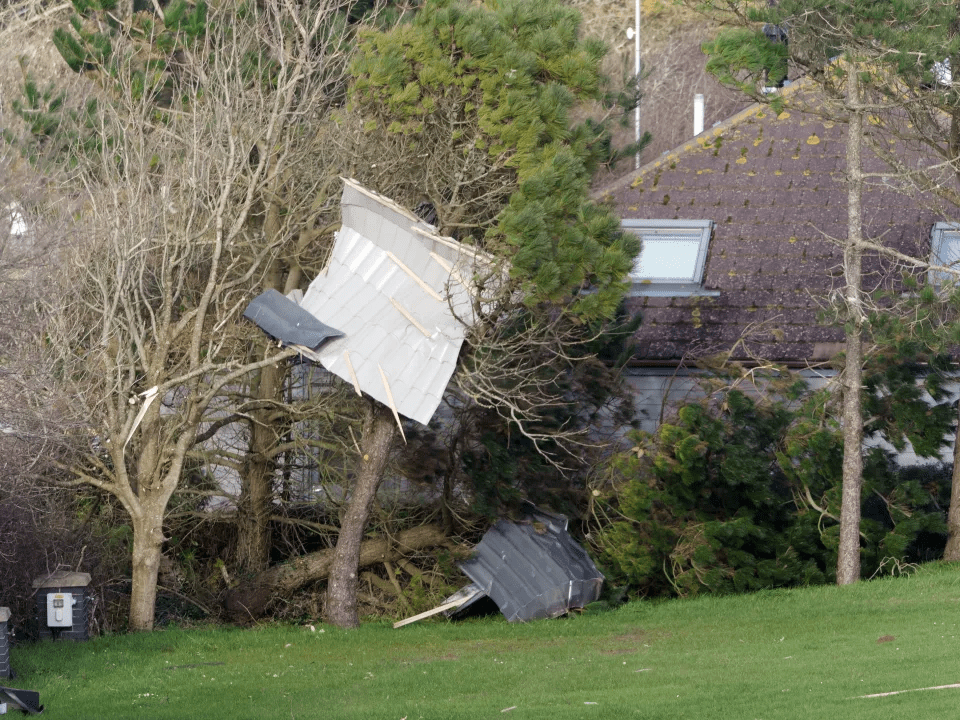 Storm damage: a shed roof torn from its building and lodged in trees.