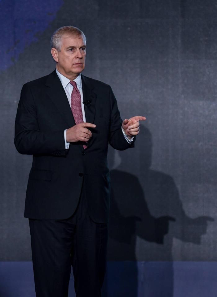 Prince Andrew gesturing during a presentation.