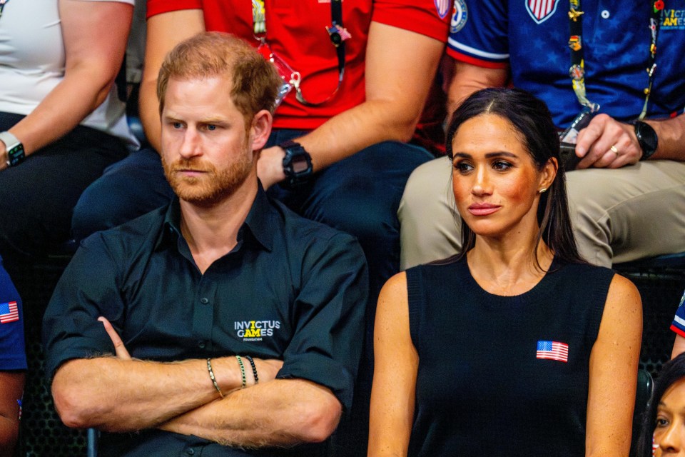 Harry and Meghan pictured at an event together