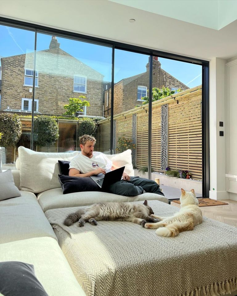 Man using laptop on a large couch with two cats.