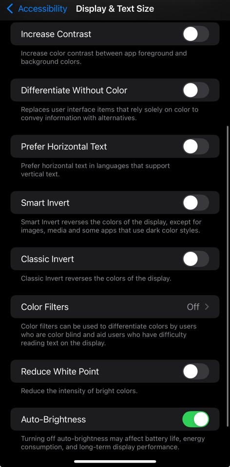 iPhone accessibility settings screenshot.