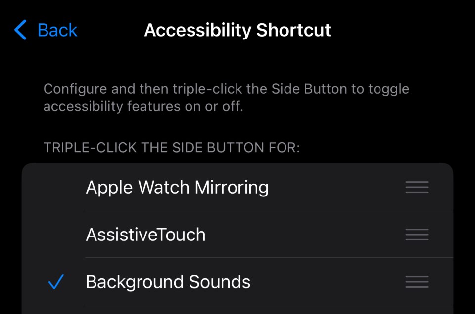 iPhone accessibility shortcut settings.