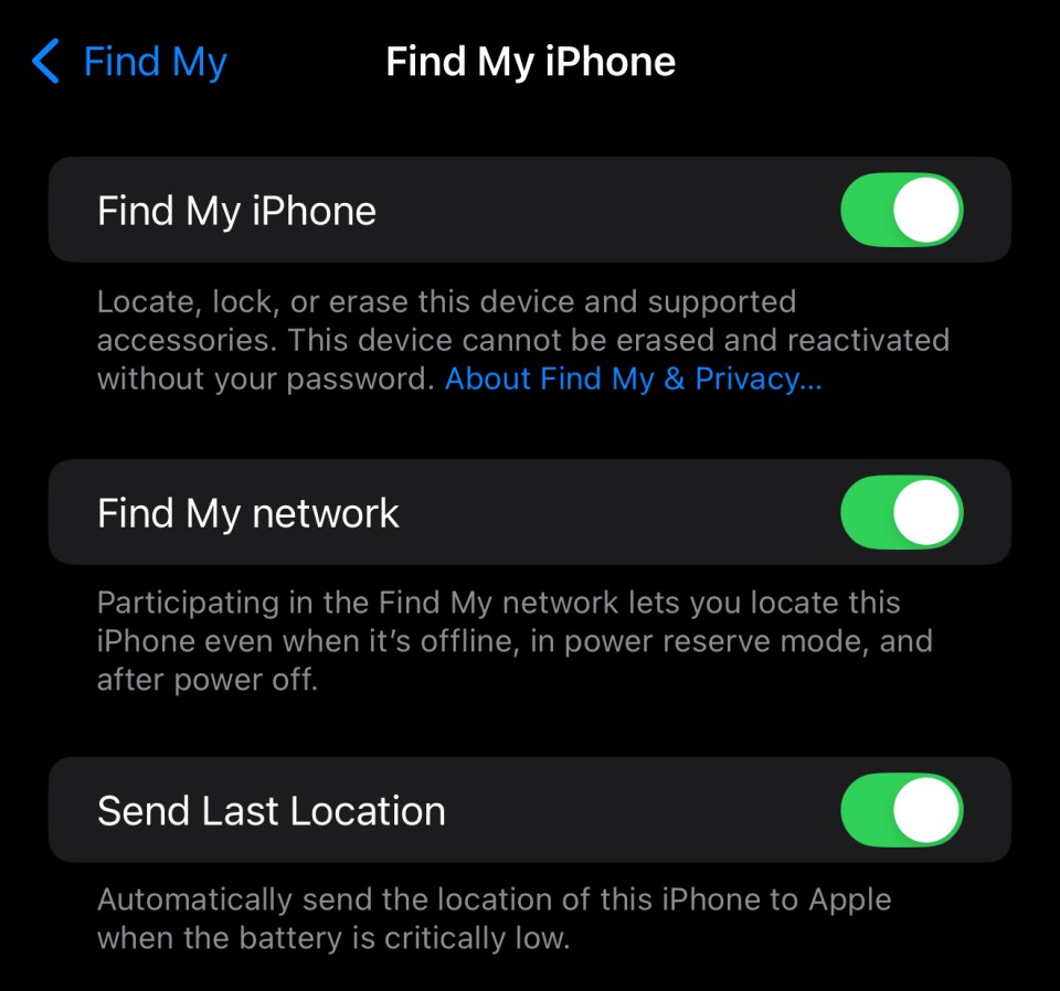 iPhone Find My settings: Find My iPhone, Find My network, and Send Last Location toggles.