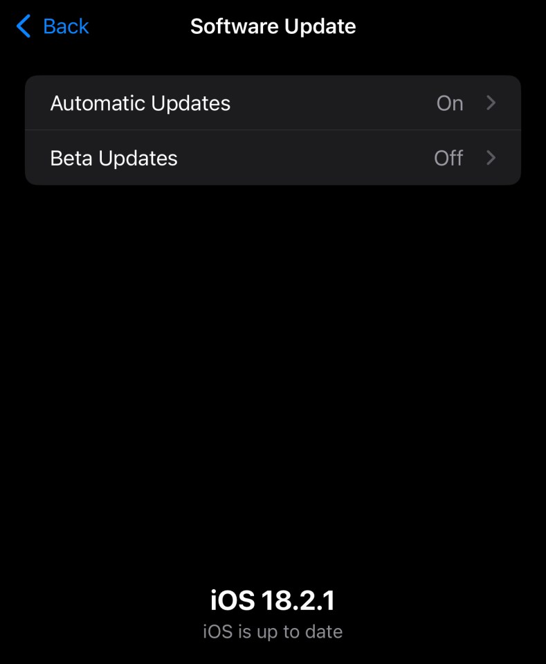 iOS software update screen showing version 18.2.1 is up to date, with automatic and beta update options.