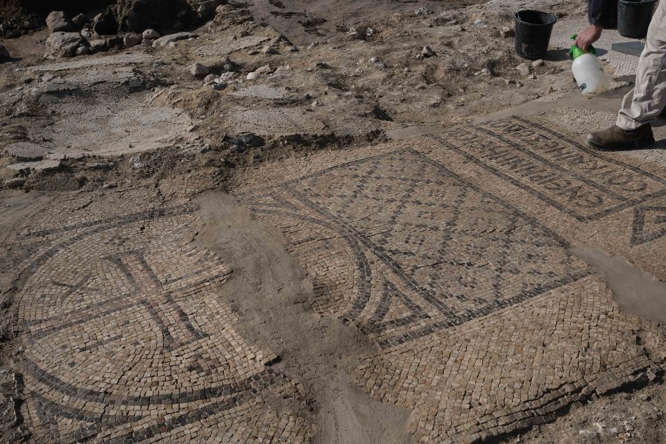 The beautiful mosaic was found at a site in southern Israel