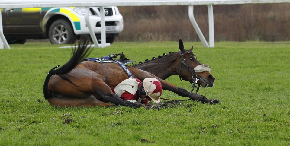 Jockey and horse fallen on the ground after a race.