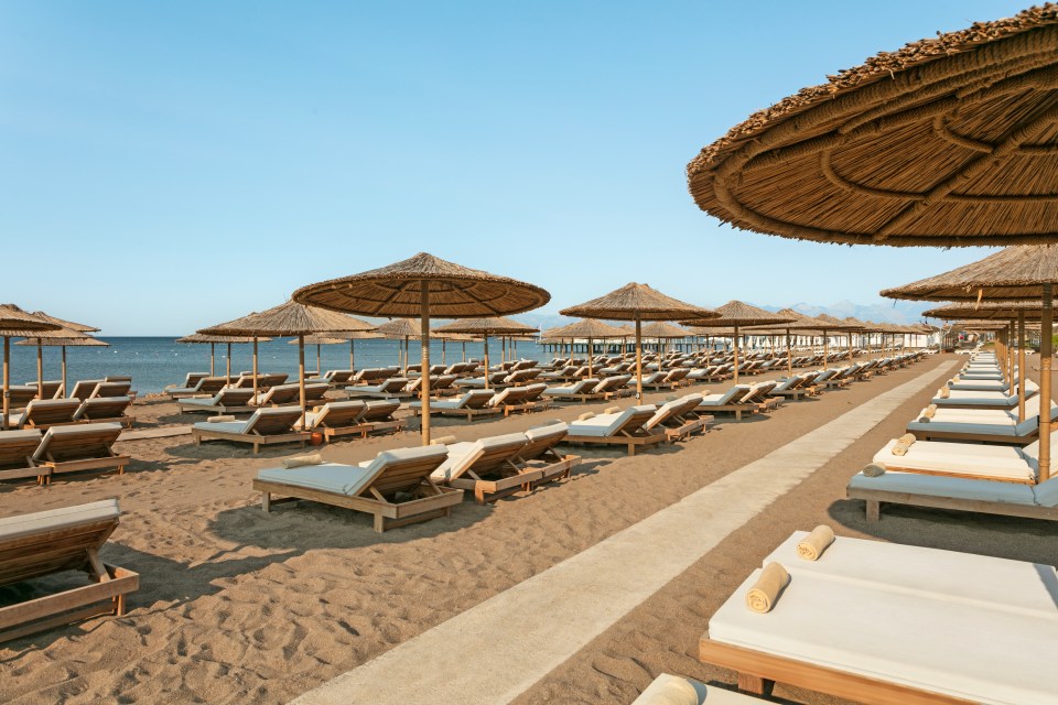 Beach with rows of lounge chairs and thatched umbrellas.