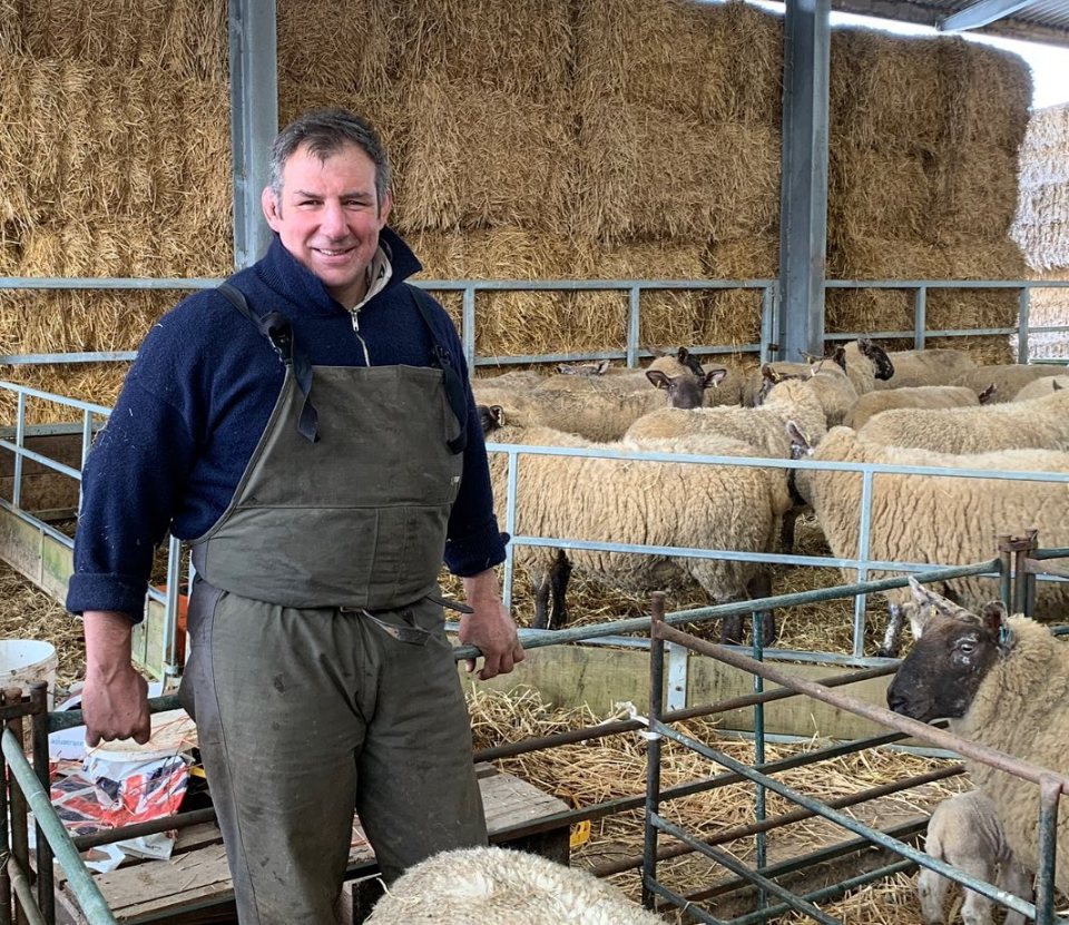 Julian White, former England rugby player, now a farmer, standing in a barn with sheep.