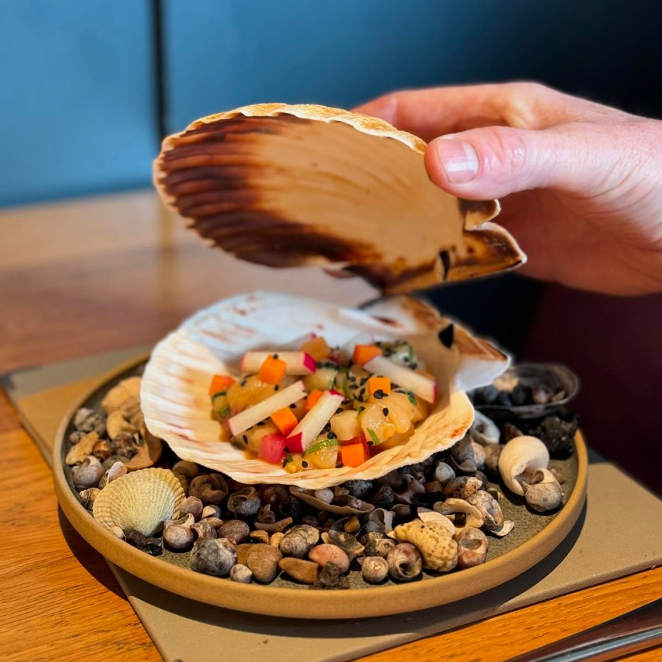 Scallop ceviche served in a scallop shell.