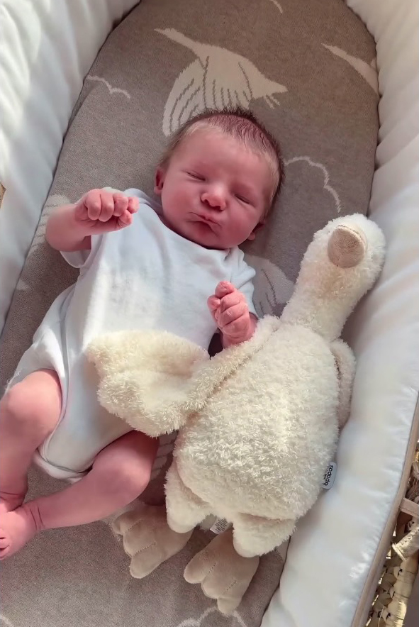 Newborn baby lying in a bassinet with a plush toy goose.