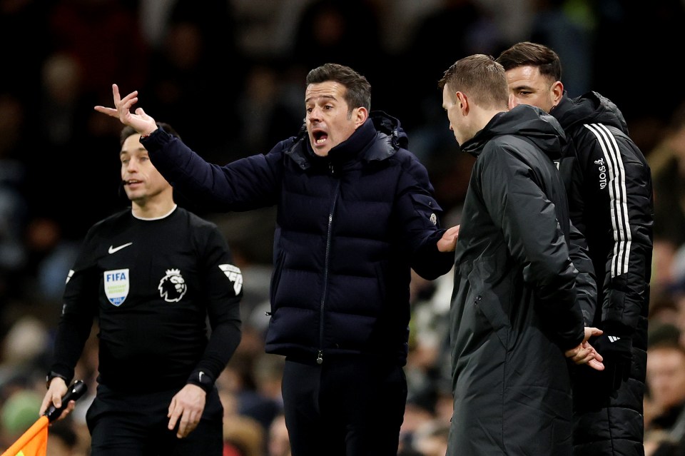 Fulham manager Marco Silva reacts during a Premier League match.