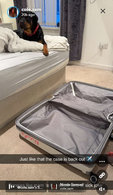 A suitcase and a Rottweiler dog on a bed.