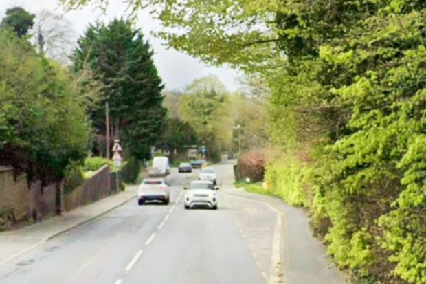 Cars driving on a tree-lined road.