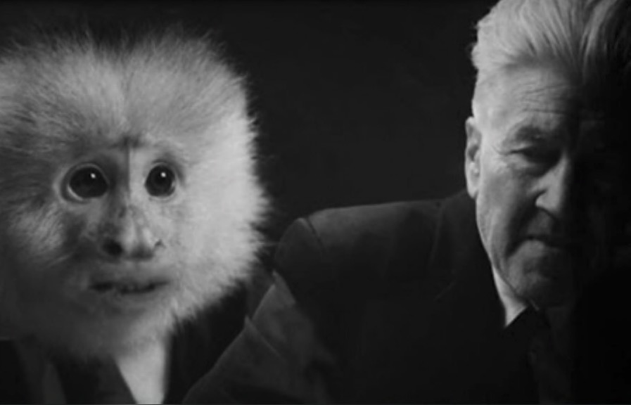 Black and white photo of Noel Fielding and a monkey.