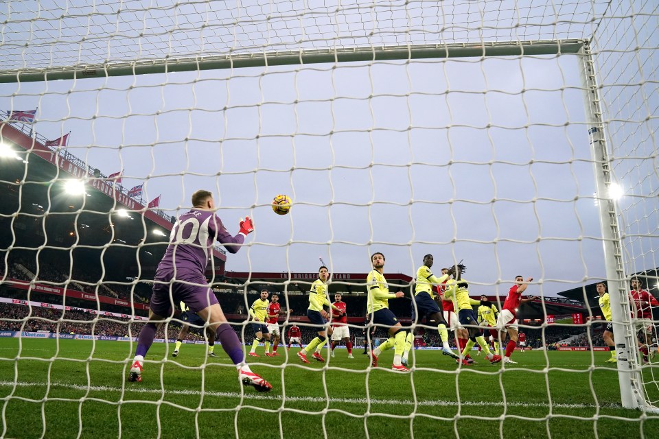 Soccer goalie attempting to block a goal.