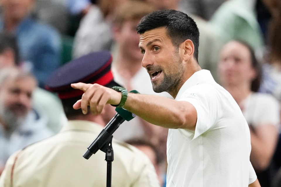 Novak Djokovic gesturing to the crowd during a post-match interview.