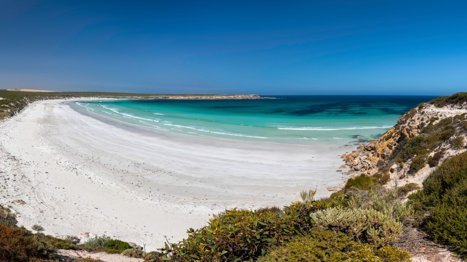 Panoramic view of Coffin Bay National Park's white sand beach and turquoise water.