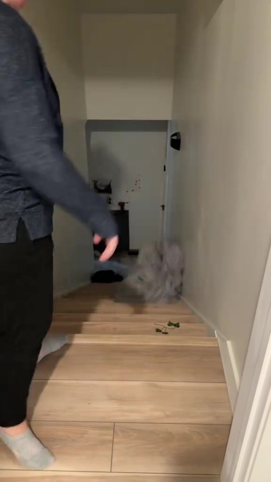 A person walks down a hallway and stairs, a blurry object is moving in front of them.