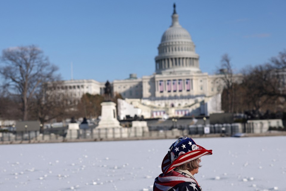 Person wearing a patriotic hat in front of the U.S. Capitol.