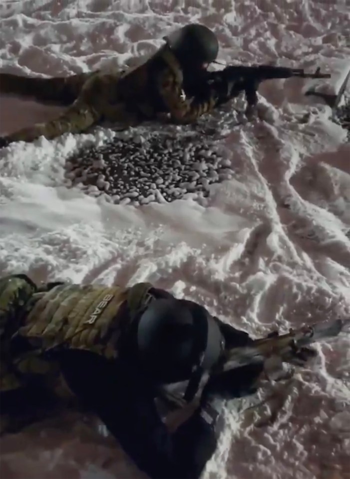 Two soldiers lying in the snow aiming rifles.