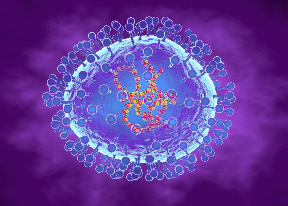 Illustration of human metapneumovirus (hMPV), a respiratory virus affecting children.