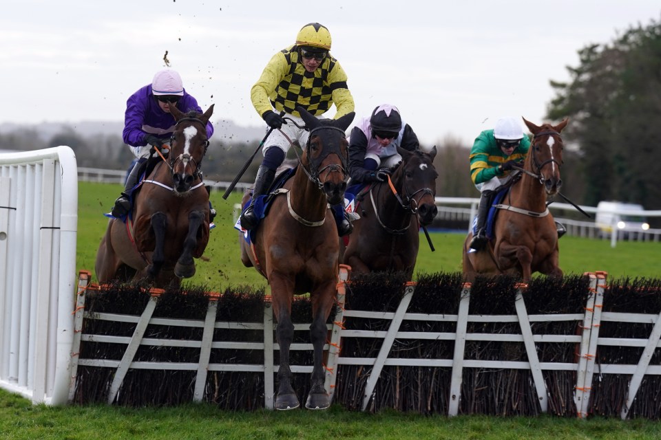 Four jockeys hurdle race.