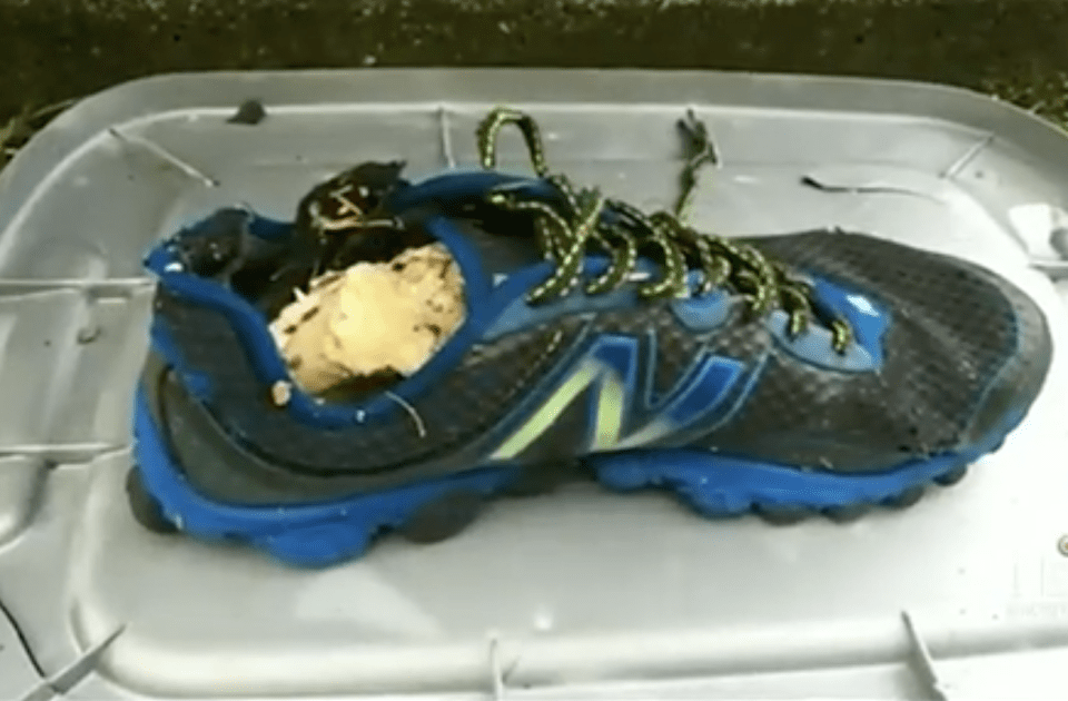 A muddy running shoe containing a human foot.