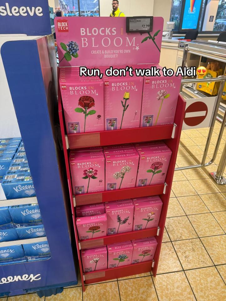 Aldi display of Blocks in Bloom Lego flower kits.