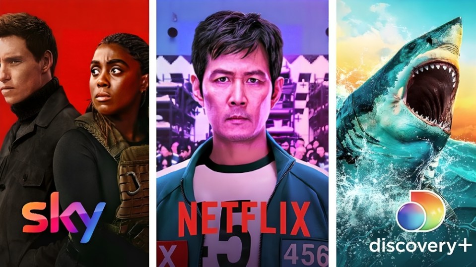 Sky, Netflix, and Discovery+ streaming service logos with featured shows.