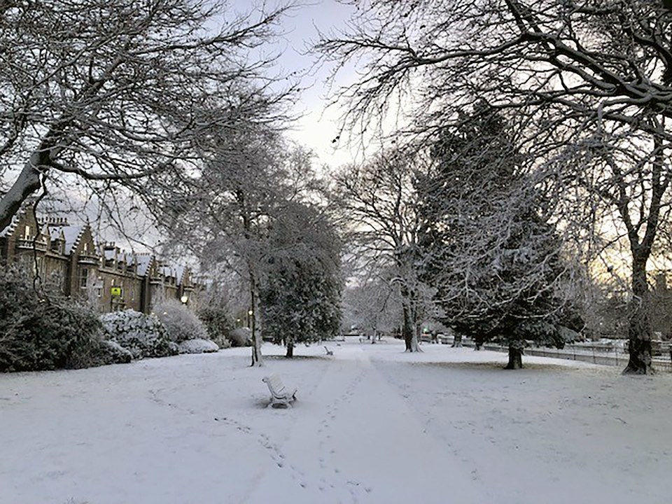 Snow-covered park in Aberdeen, with buildings in the background.