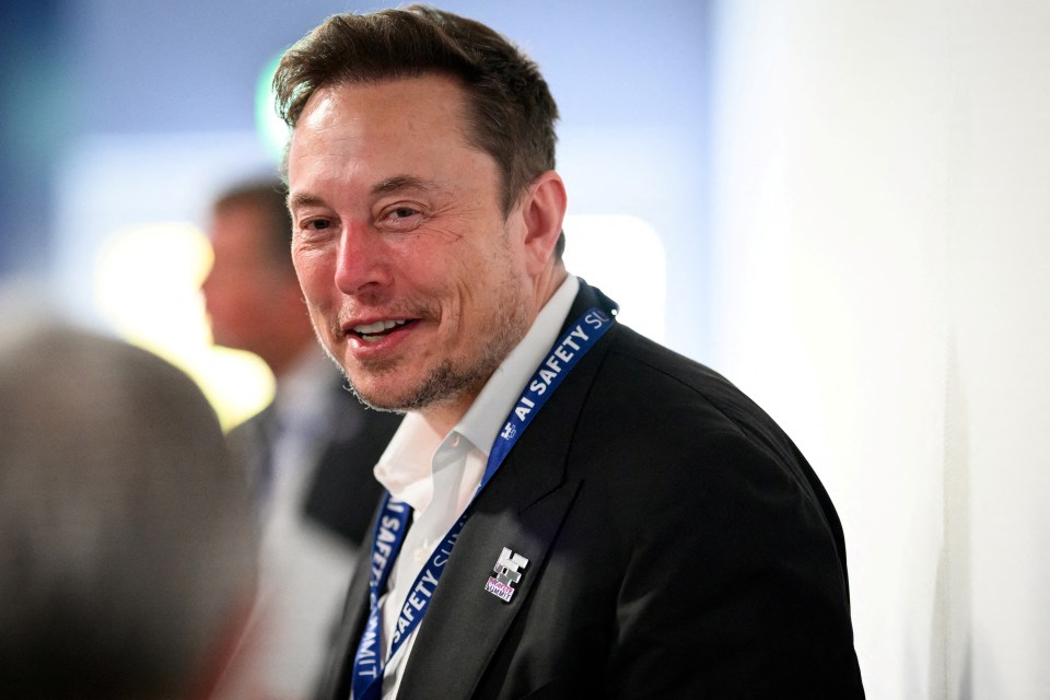 Elon Musk at the AI Safety Summit.