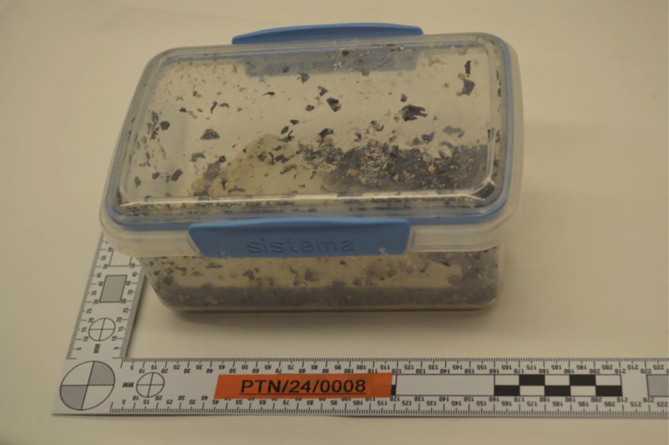 A Sistema brand plastic container filled with dark debris, next to a ruler.