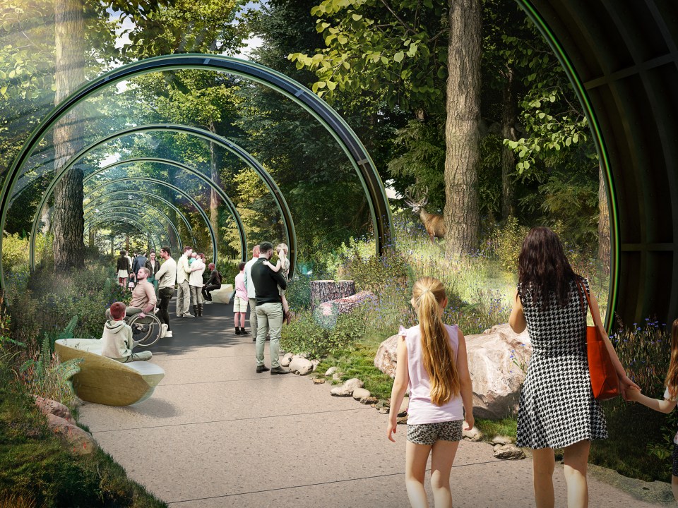 Illustration of a pathway through a wooded area with a glass tunnel overhead, people walking, and a deer visible through the tunnel.