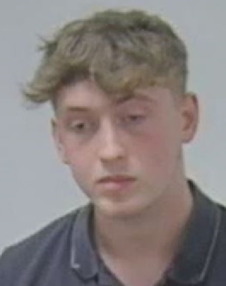 Mugshot of Thomas Johnson, convicted of causing the death of three teenagers by dangerous driving.