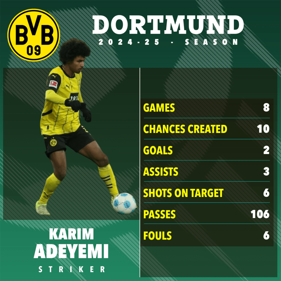 Illustration of Karim Adeyemi's 2024-25 season stats for Dortmund.