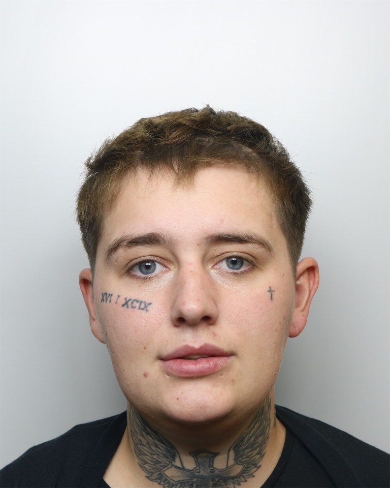 Mugshot of Hollie Hanson.