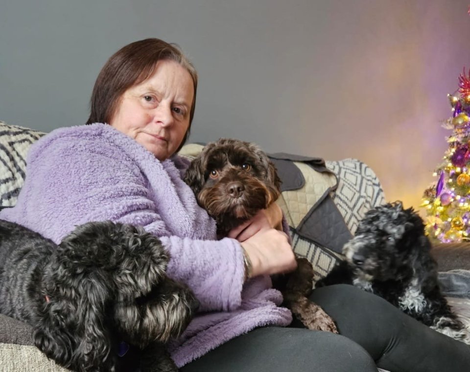 Carol and her three dogs, including Ruby who fell in the water