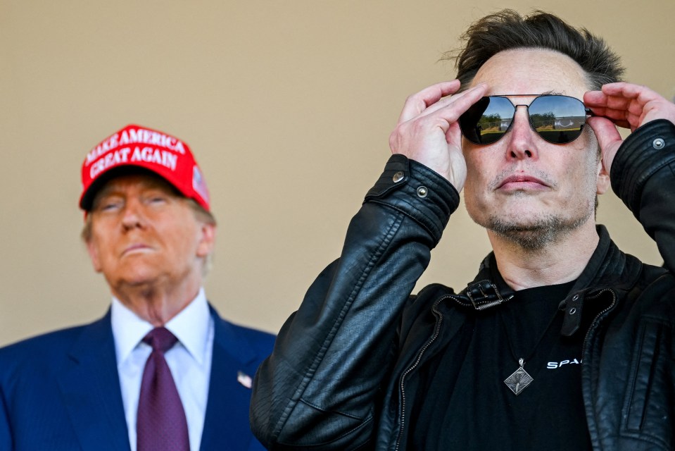 Elon Musk with Donald Trump