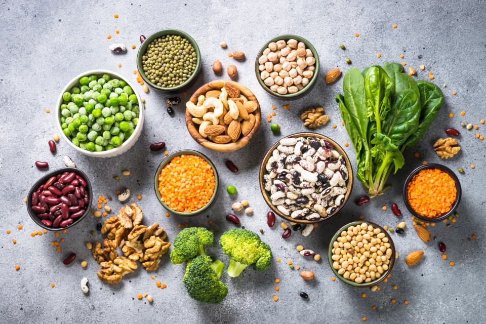 Variety of legumes, beans, nuts, and vegetables for a vegan protein source.