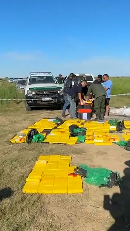 Seized cocaine bricks near a plane in Entre Rios, Argentina.