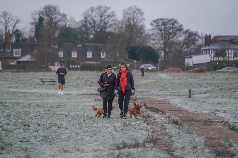 Walkers brave the freezing conditions on Wimbledon Common, south west London covered in heavy frost this morning